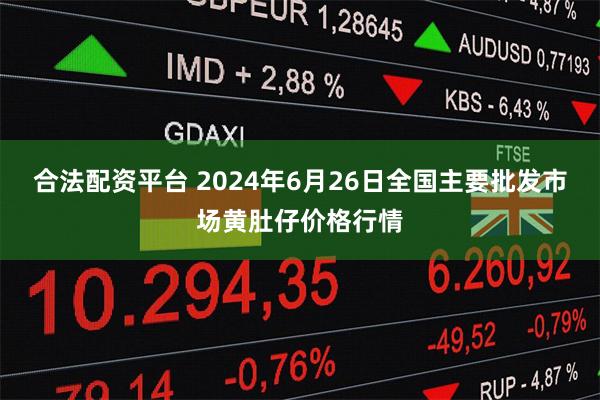 合法配资平台 2024年6月26日全国主要批发市场黄肚仔价格行情