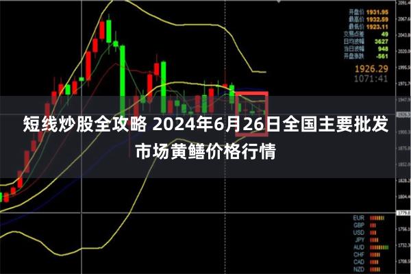 短线炒股全攻略 2024年6月26日全国主要批发市场黄鳝价格行情