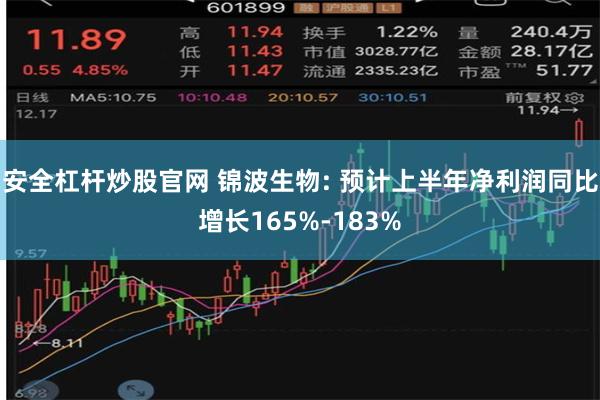 安全杠杆炒股官网 锦波生物: 预计上半年净利润同比增长165%-183%