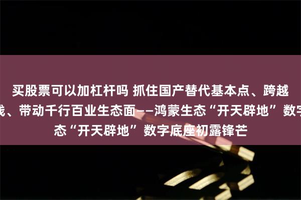 买股票可以加杠杆吗 抓住国产替代基本点、跨越市场份额生死线、