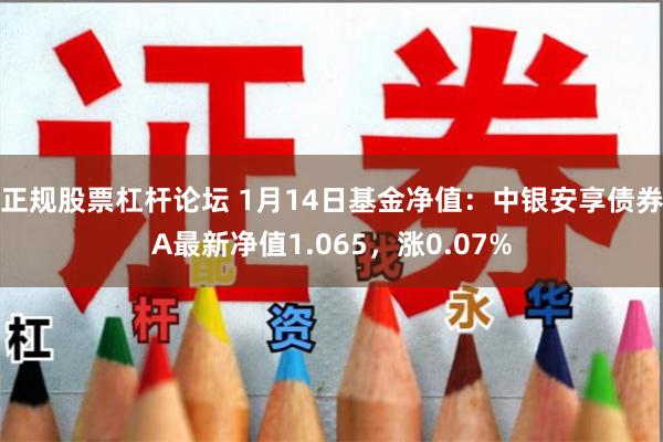 正规股票杠杆论坛 1月14日基金净值：中银安享债券A最新净值
