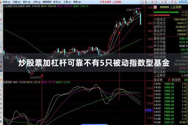 炒股票加杠杆可靠不有5只被动指数型基金